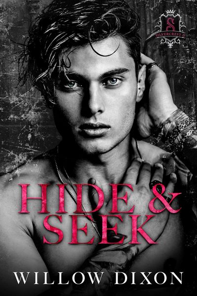 Hide and Seek