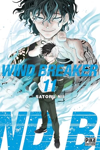 Wind Breaker T11