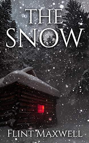 The Snow (Whiteout, #1)