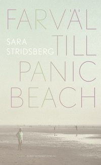 Farväl till Panic Beach roman
