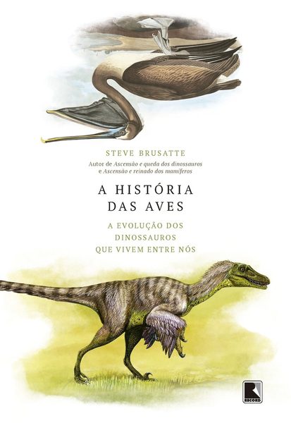 A história das aves