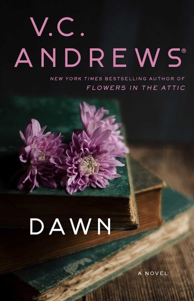 Dawn