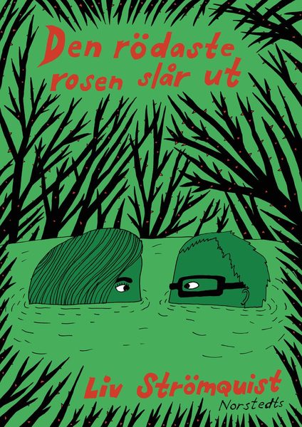 Den rödaste rosen slår ut