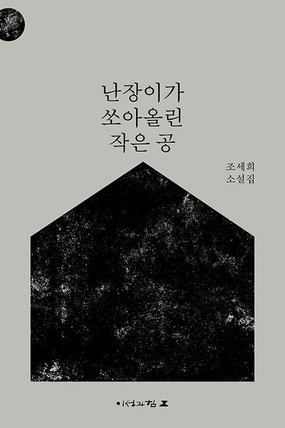 난장이가 쏘아올린 작은 공