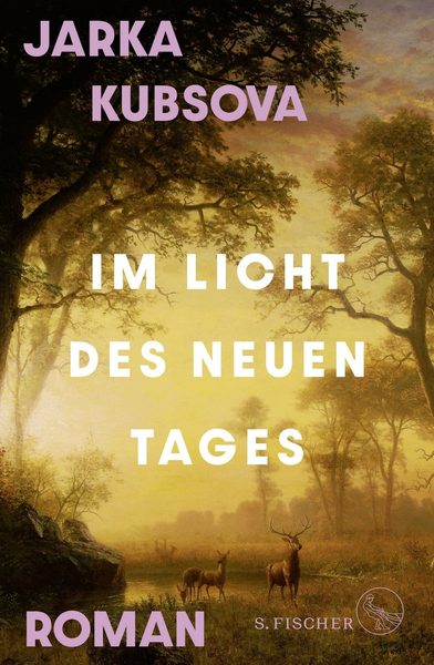 Im Licht des neuen Tages