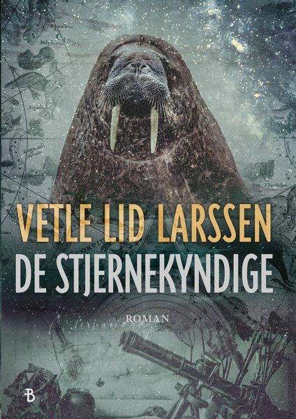 De stjernekyndige roman