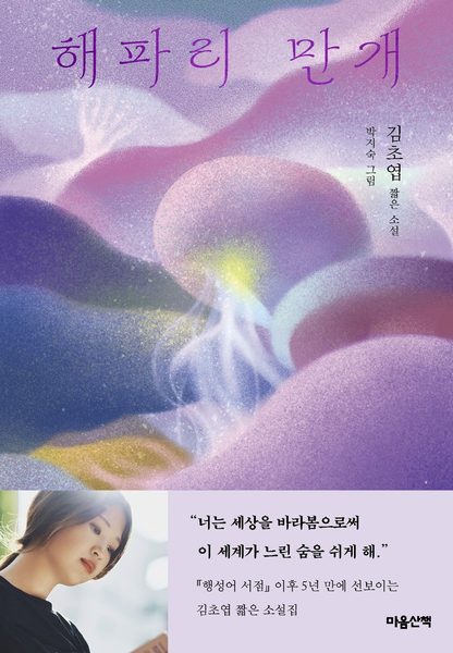 해파리 만개