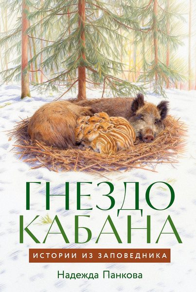 Гнездо кабана
