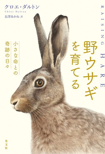 野ウサギを育てる