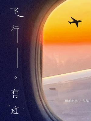 Flight Traces