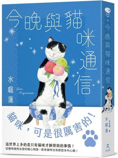 今晚與貓咪通信