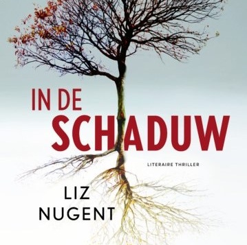 In de schaduw