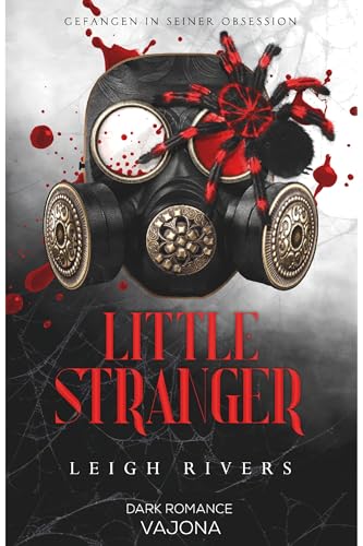 Little Stranger: Gefangen in seiner Obsession