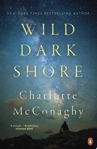 Wild Dark Shore