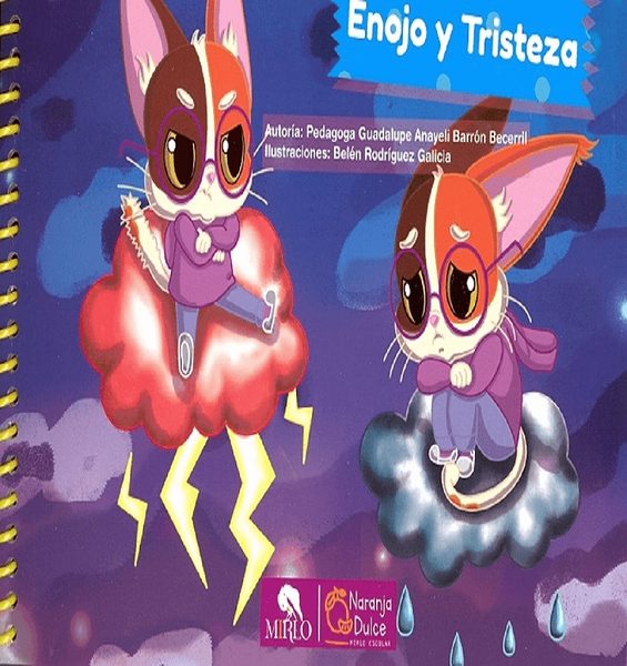 Aprendiendo a sentipensar: enojo y tristeza