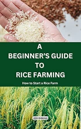 BEGINNER'S GUIDE TO RICE FARMING How to Start a Rice Farm, Step-by-step Approach