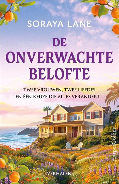 De onverwachte belofte