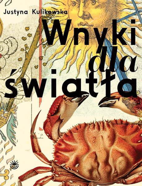 Wnyki dla światła