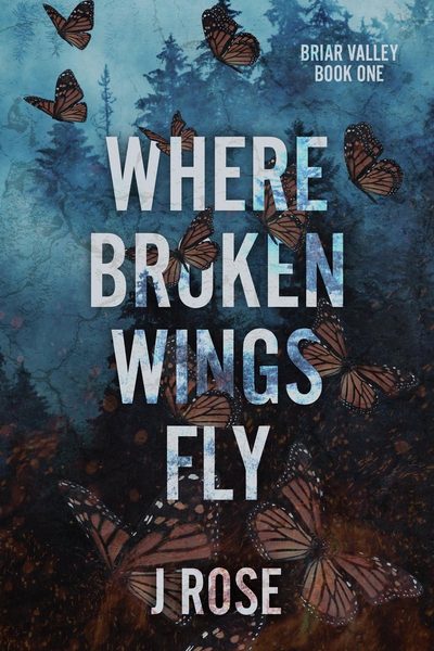 Where Broken Wings Fly (Briar Valley, #1)