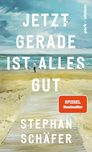 Jetzt gerade ist alles gut Nach dem SPIEGEL-Bestseller "25 letzte Sommer" - der neue Roman von Erfolgsautor Stephan Schäfer
