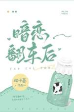 暗恋翻车后 [After I Flopped on My Crush]